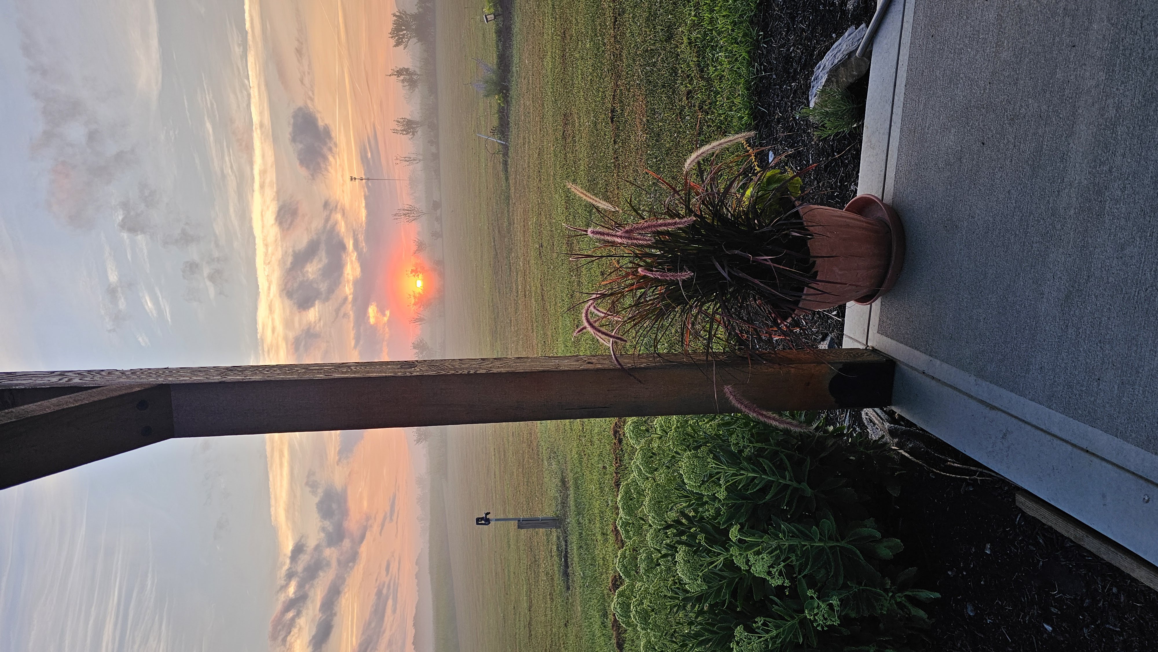 Fresh baked sourdough and pastries
